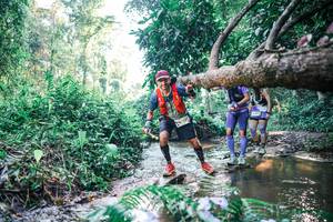 BIB: 
                            <button type="button" onclick="openModal(25436647)" class="btn btn-primary btn-sm float-right btn-popup" data-toggle="modal" data-target=".modal-high-quality">
                        <i class="fas fa-shopping-cart"></i> Add to Cart
                    </button>
                                            <button type="button" onclick="isThisMe(25436647, true)" class="btn btn-success btn-sm float-right btn-popup btn-isme hidden" data-toggle="tooltip" data-placement="bottom" title="นี่คือรูปของคุณใช่ไหม คลิกที่นี่เพื่อเอาเข้าอัลบั้ม">
                        <i class="fas fa-plus"></i> Add to album
                    </button>
                    <button type="button" onclick="isThisMe(25436647, false)" class="btn btn-warning btn-sm float-right btn-popup btn-isnotme hidden">
                        <i class="fas fa-ban"></i> Remove from album
                    </button>